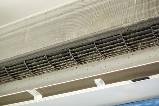 Trusted Montrose, MN Airduct Cleaning Experts