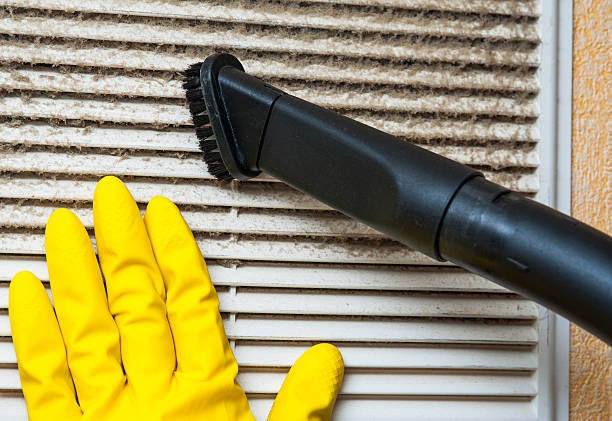 Best Mold and Mildew Removal from Ducts in Montrose, MN